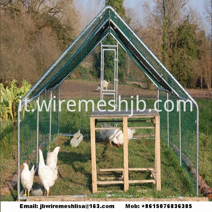 Hexagonal Mesh Chicken Cage House